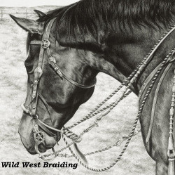 Wild West Braiding
