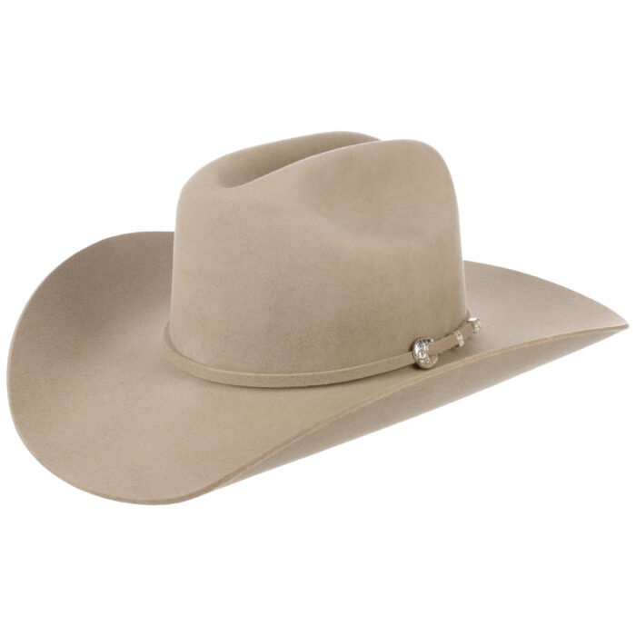 Corral Buffalo